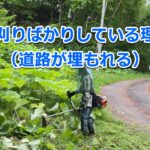草刈りばかりしている理由(道路が埋もれる) why-we-mowe-title