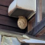 PXL_20250918_051305002_small