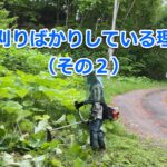 草刈りばかりしている理由(その2) why-we-mowe-vol2-title